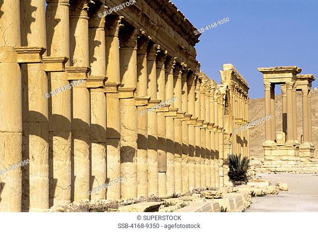 Syria, Palmyra, Ancient Roman City, Colonnaded Street, The Great Colonnade, Tetrapylon
