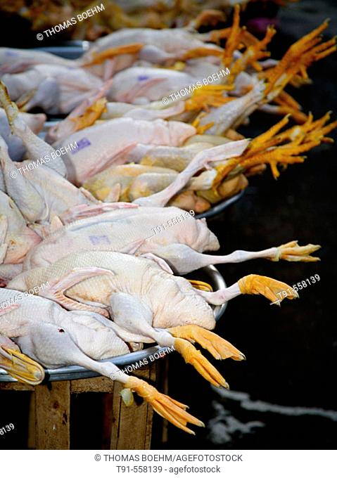Plucked chicken at vietnamese market. Hanoi. Vietnam
