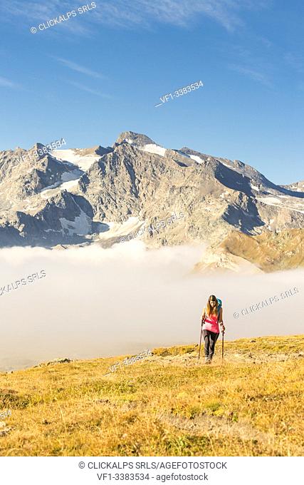 Hiker walking along hill of Nivolet with Grand Aiguille Rousse in the background, Ceresole Reale, Graian Alps, Gran Paradiso National Park, Piedmont region