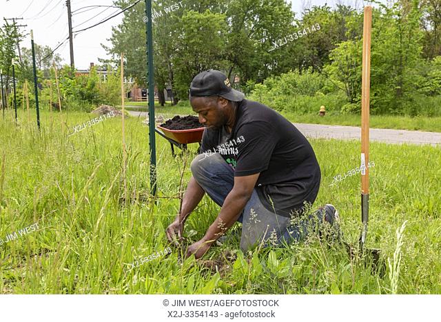 Detroit, Michigan - Thomas Roberes of Detroit Vineyards, plants Marquette wine grapes on formerly vacant land in the city's Morningside neighborhood