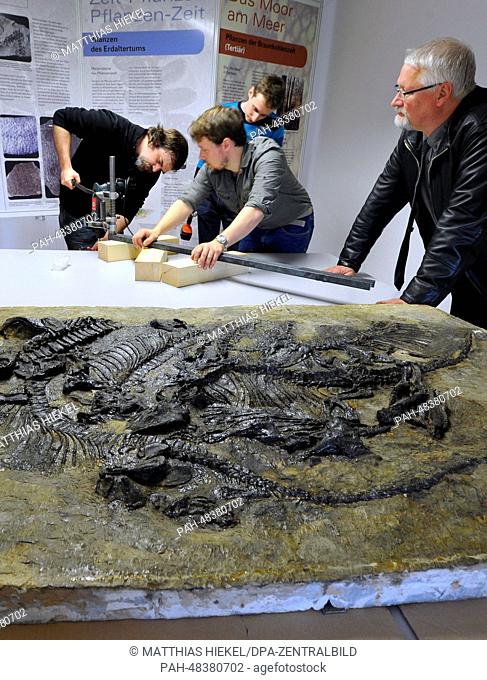 Paleontologists Frederik Spindler (2-L), Christen Shelton (L), Nico Schendel (B) and Johannes Richter (R) prepare to take a bone sample from the world's only...