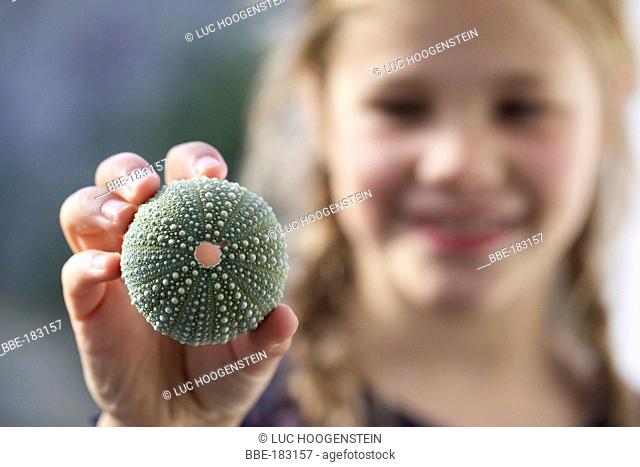 A girl holds the shell of a sea urchin, without spines