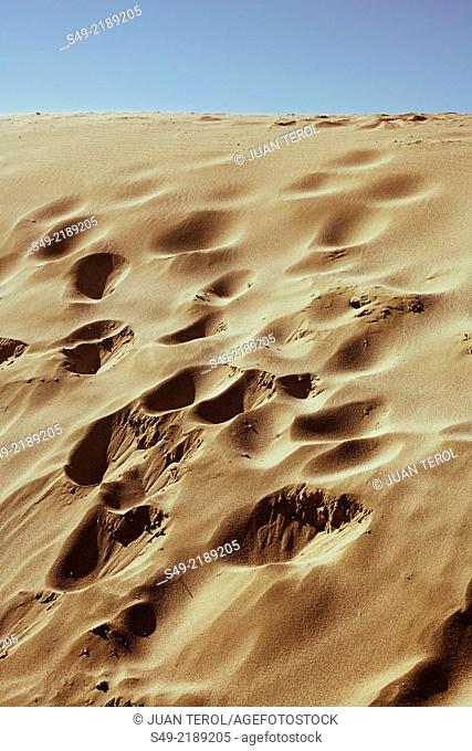 Dunes of El Saler, Valencia Spain, Europe