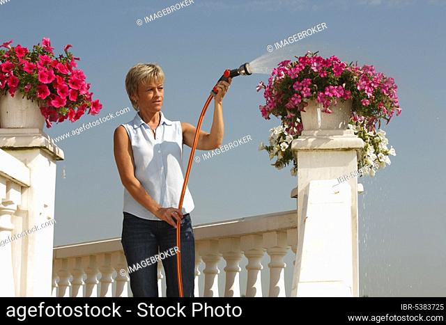 Woman watering petunia (Petunia hybride), garden hose, terrace, balustrade