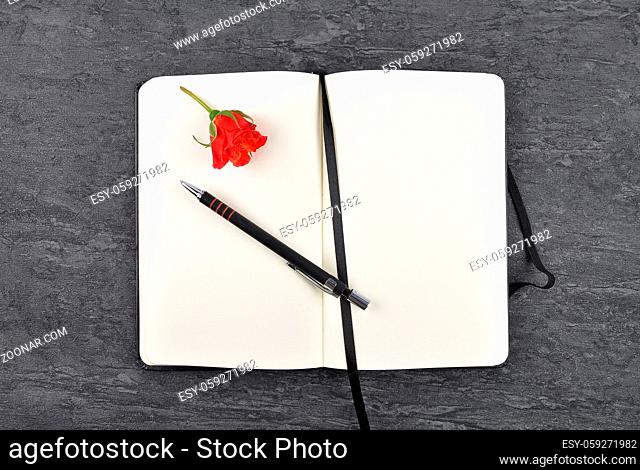 Notizbuch, Stift und rote Rose auf Schiefer - Notebook, pen and red rose on slate