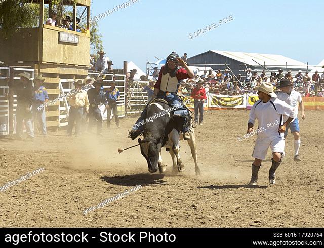Competitor riding bucking bull at Rodeo
