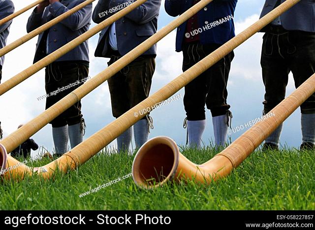 Alphorn players during a performance in the supporting program of a ceremonial cattle drive in Bavaria