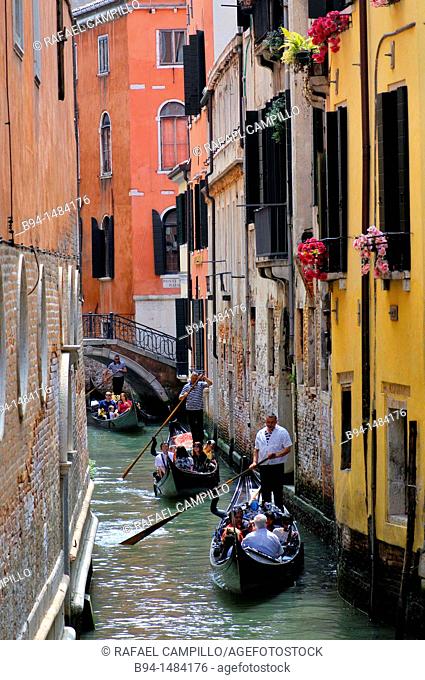 Gondolas and gondoliers in a canal, Venice, Veneto, Italy