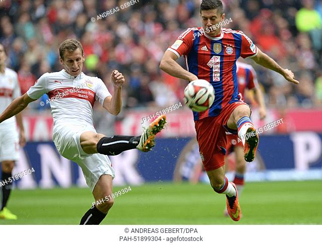 Munich's Robert Lewandowski (R) and Stuttgart's Florian Klein vie for the ball during the Bundesliga soccer match between FC Bayern Munich and VfB Stuttgart at...