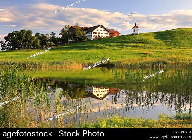 Lake chapel and farmhouse reflected in the lake, Hergatsried Lake, Common reed (Phragmites australis), Hergatsried, Halblech, Allgäu Alps, Bavaria, Germany