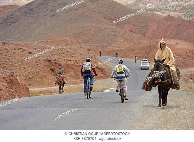 encounter between an old man riding a mule and cyclists with mountain pedelec on the road connecting Tizi n'Tichka pass to Telouet village, Ouarzazate Province