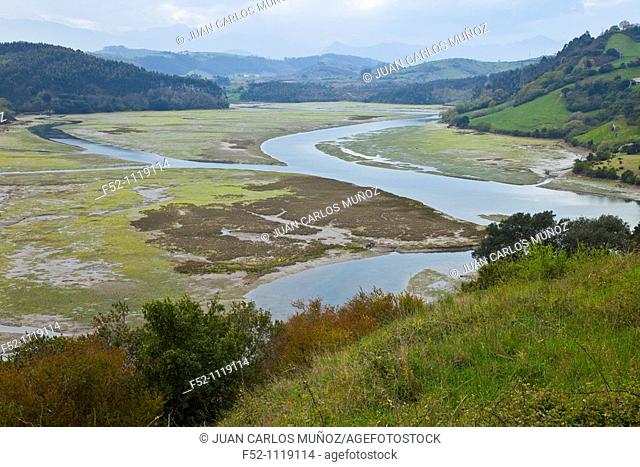Pombo marsh, San Vicente de la Barquera, Cantabria, Spain