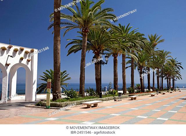 Palm trees along the promenade to the observation deck of Balcón de Europa, Nerja, Costa del Sol, Andalusia, Spain, Europe, PublicGround