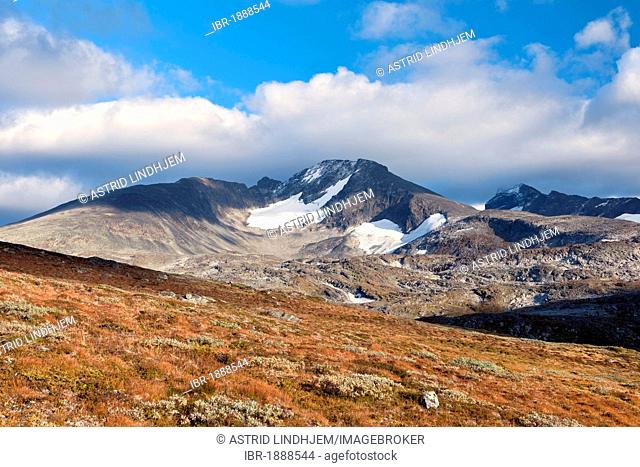Mountain in Sognefjellet, Norway, Scandinavia, Europe