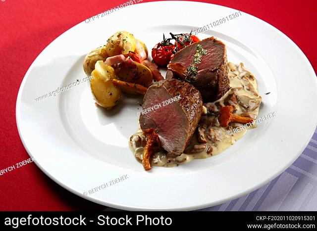 Deer Steak with Creamy Chanterelle Mushrooms Sauce, tomatoes and potatoes on white plate. (CTK Photo/Zdenek Rerych)