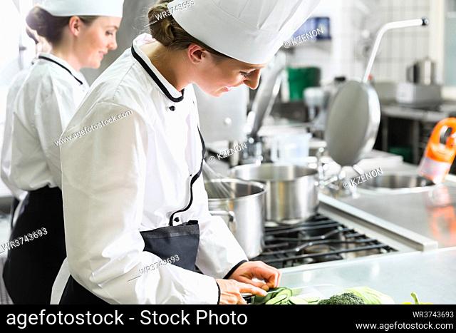 Female chefs at work in industrial kitchen of canteen