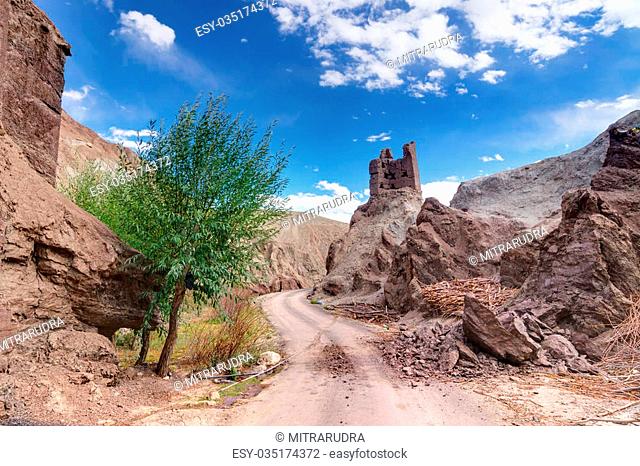Ruins and Basgo Monastery surrounded with stones and rocks , a single tree standing, Leh, Ladakh, India