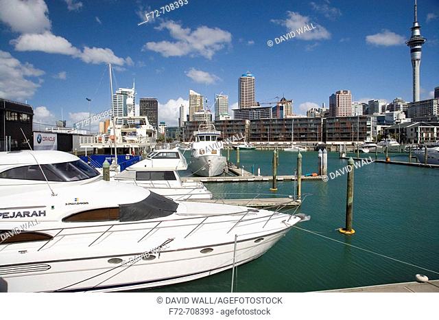 Boats, Skytower, CBD and Viaduct Basin, Auckland, North Island, New Zealand