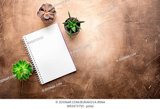 Empty note pad for notes and pots with succulents on the table. Top view with place for text
