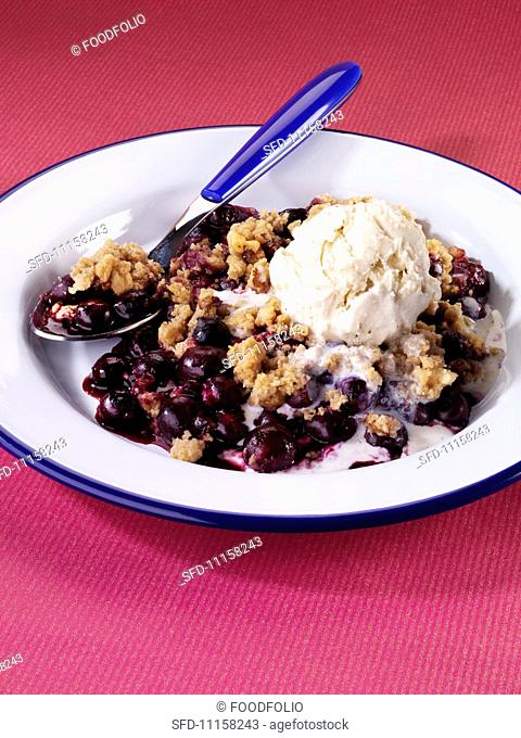 Blueberry crumble with vanilla ice cream