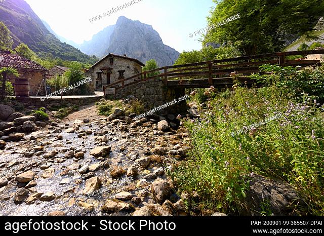 07 August 2020, Spain, Bulnes: The river Rio Bulnes flows in front of the limestone cliffs in the National Park Picos de Europa through the village centre
