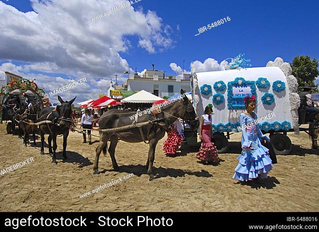 Pilgrims with carriages, Romeria pilgrimage to El Rocio, Almonte, Huelva, Andalusia, Spain, Europe