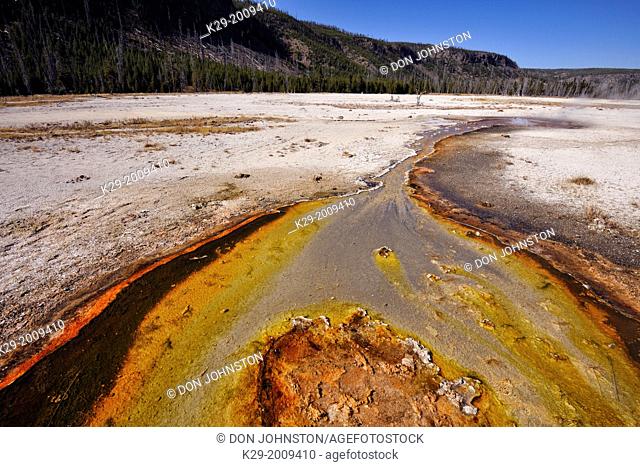 Algae and cyanobacteria colonies in thermal outflow near Rainbow Pool, Yellowstone NP, Black Sand Geyser Basin, Wyoming, USA