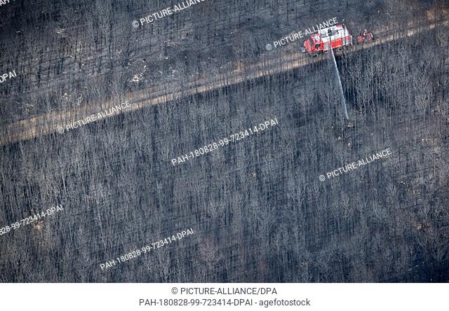 28.08.2018, Brandenburg, Treuenbrietzen: A fire engine of the fire brigade patrols a burnt pine forest. After the devastating forest fires in Brandenburg