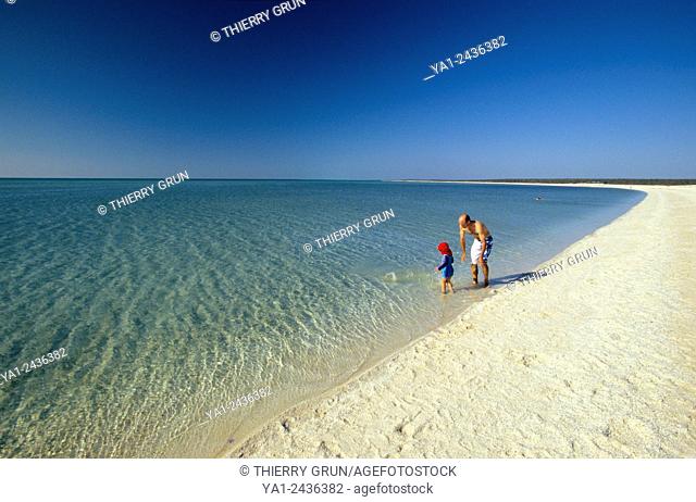 Australia, Western Australia, Shark bay, Haridon Bight, Shell Beach, beach composed only of small shells Fragum erugatum