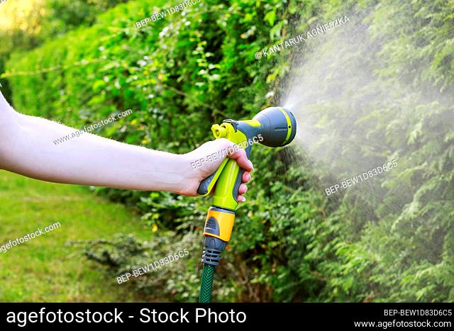 Watering plants. Woman holding garden hose. Summer work outdoors