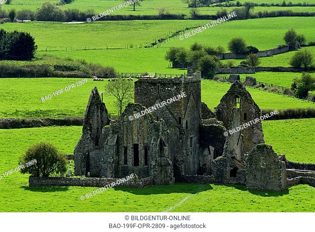 This stock photo shows the Hore Abbey near the Irish castle Rock of Cashel