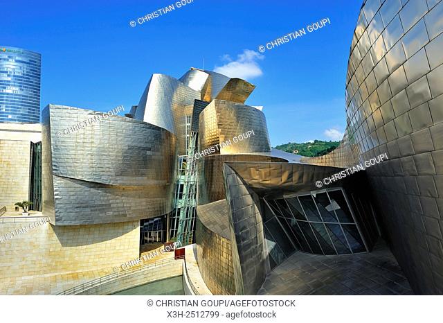 Guggenheim Museum designed by architect Frank Gehry, Bilbao, province of Biscay, Basque Country, Spain, Europe