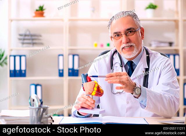 Aged male doctor cardiologist with heart model