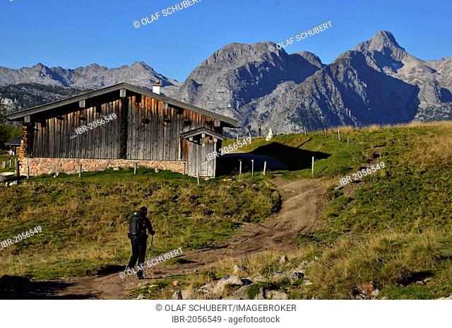 Hiker with a backpack and trekking poles in front of mountain range and mountain hut en route to Gotzenalm alp, Schoenau am Koenigssee, Berchtesgaden region