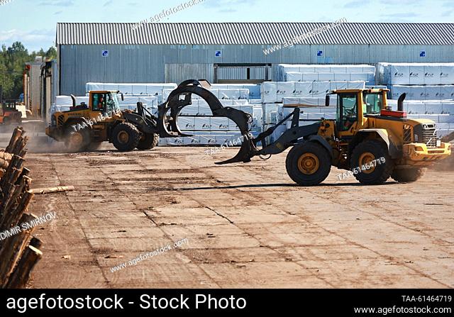 RUSSIA, VOLOGDA REGION - AUGUST 22, 2023: Log stackers operate at LDK No 2, a timber factory based in Vytegra and owned by Vologda Timber Merchants