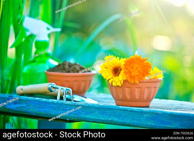 flowers and garden tools on the wooden table