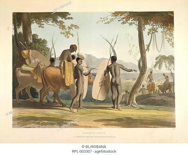 Kaffers on a march, Native Africans travelling with their livestock. Image taken from A collection of plates illustrative of African scenery and animals