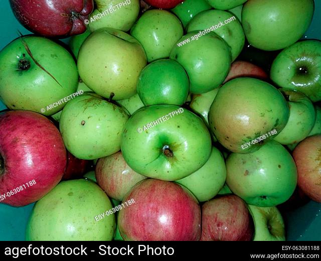 Apples for slicing and the juicing
