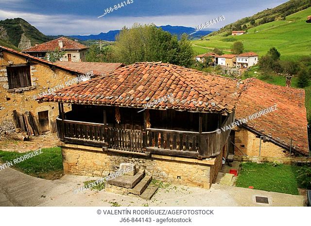 'Horreo' (typical granary), Demues. Picos de Europa. Asturias, Spain