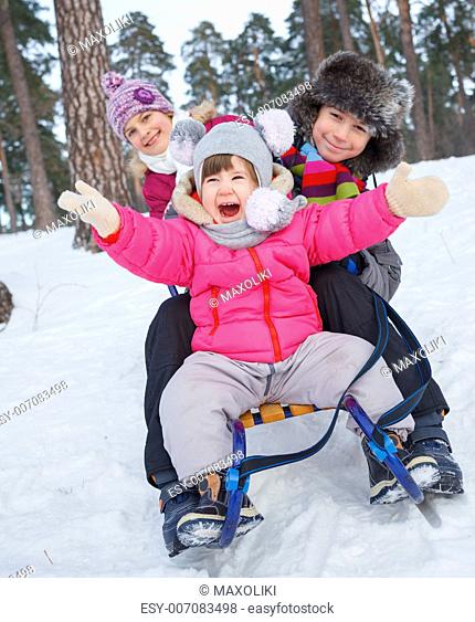 Children on sleds in snow forest. Vertical view