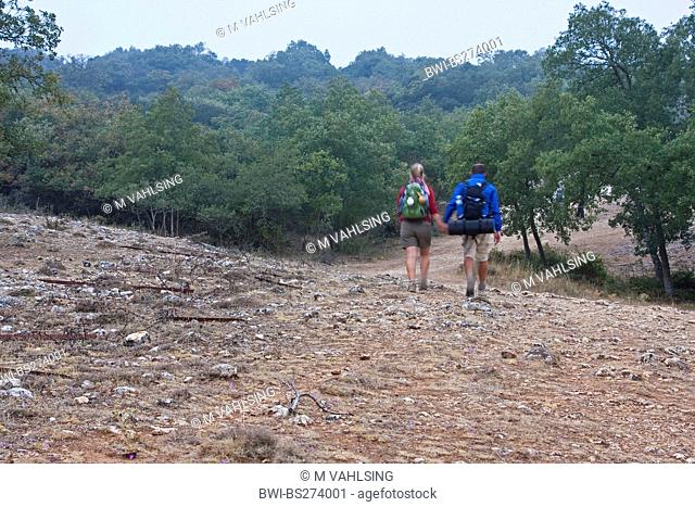 couple of pilgrims on their way from Atapuerca to Cardeuela Ropico, Spain, Kastilien und Len, Burgos