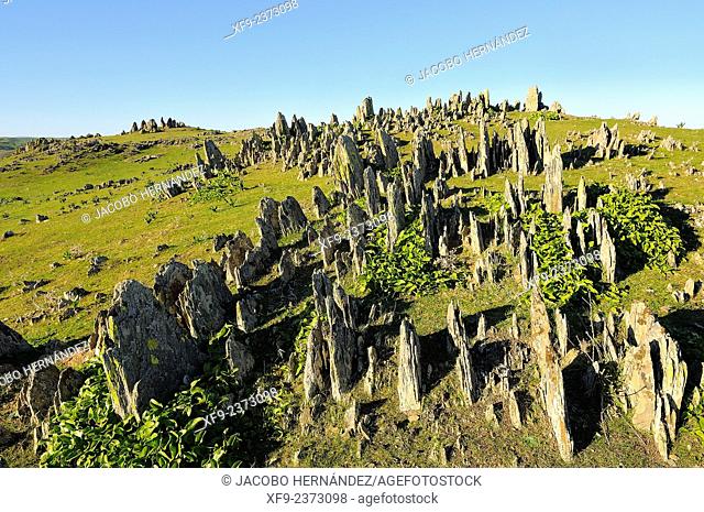 Rock formations(""Dientes de perro"").La Serena.Badajoz province.Extremadura.Spain