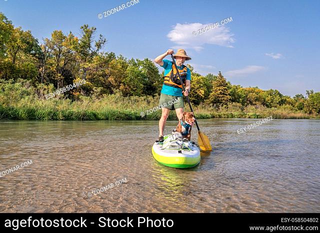 senior paddler is paddling stand up paddleboard with his pitbull dog on a shallow river - Dismal River at Nebraska National Forest, early fall scenery