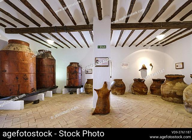 Cellar of jars to store the oil, Museo de la Cultura del Olivo. Museum cultural history of the olive tree, Puente del Obispo
