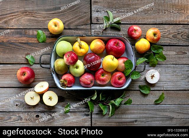 Different kinds of apples in metal plate on a wooden table in the garden
