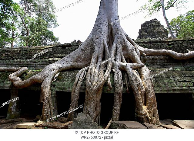 Angkor Impression