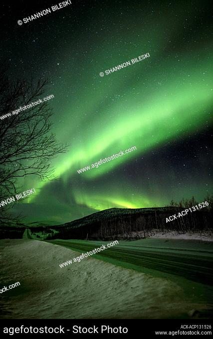Aurora dancing in Norway skies under winter skies over the road