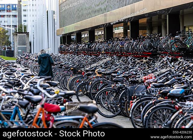 Rotterdam, Netherlands, A person finds their bivyle among the rows of bicycles parked at the Central Station