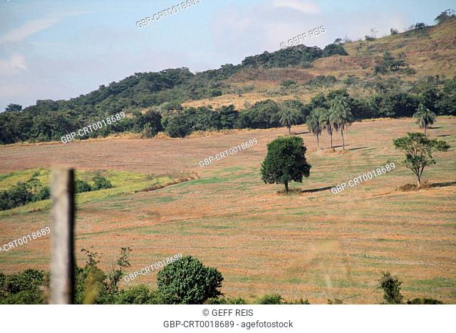 Landscape, Highway MGC 354, 2016, Lavras, Minas Gerais, Brazil