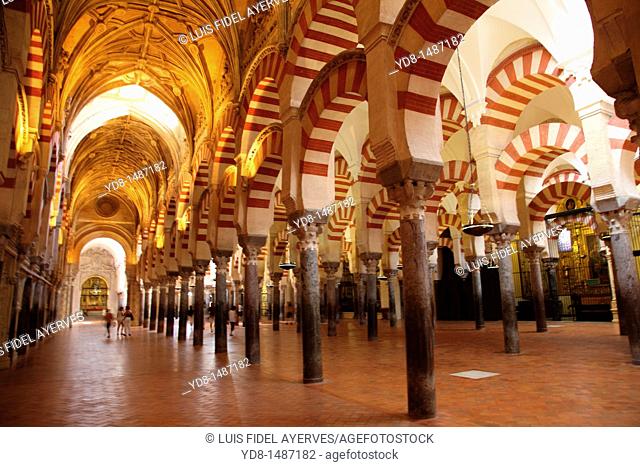 Columns Inside the Mosque of Cordoba, Spain